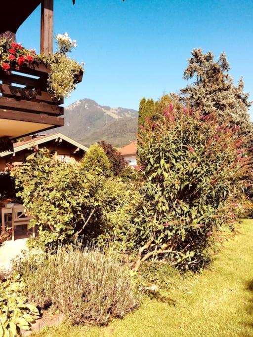 Charmantes Garten-Apartment: Erholung Im Chiemgau Unterwössen Exteriör bild